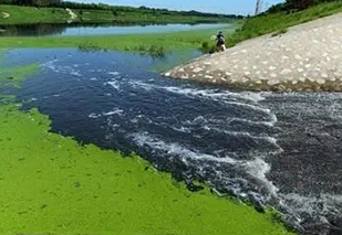 面對黑臭水體治理難題，都有哪些應(yīng)用不錯(cuò)的處理工藝？