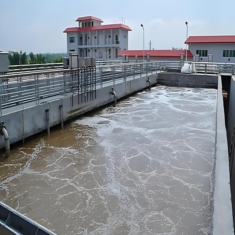 天然渾水的沉降可分為哪些？